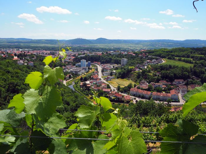 Blick von Krems-Rehberg ins Kremstal
