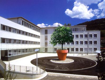a+v BKR Land Pongau Goldegg Bonsai