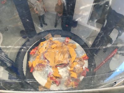 Aufbau der Ausstellung mit Hans-Walter Müller im aut