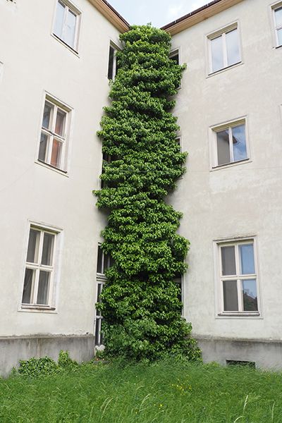 GEHspräch12 – Foto: ORTE / Heidrun Schlögl