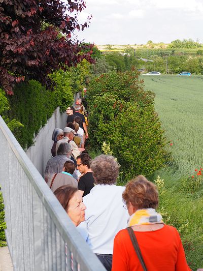 Atriumhaussiedlung Gneixendorf 3