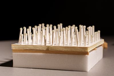 Projekt: Tapioca House / Jade Apack (Paris)