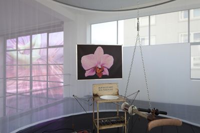 Blick in die Ausstellung "Cornelius Kolig: Meine Heimat ist mein Körper"  auf "Alle Macht geht vom Fleisch aus"