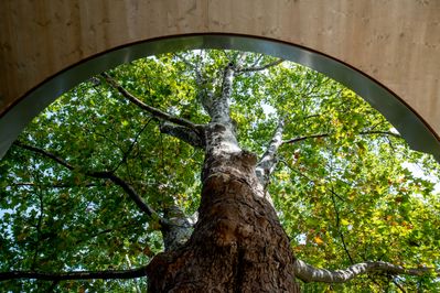 Salon Stolz, Architektursalon und su.n - spaceunit network