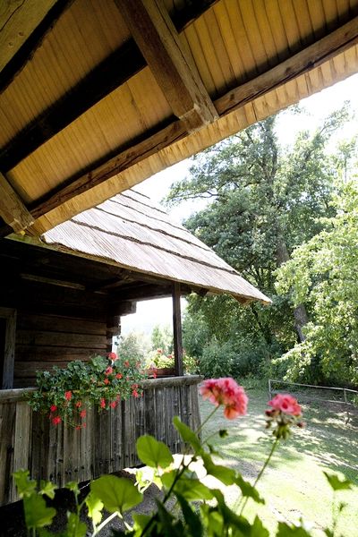Exkursion ins Kärntner Freilichtmuseum Maria Saal
