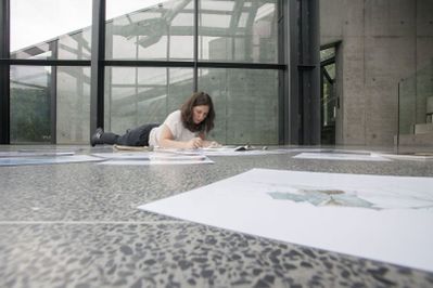 Artist in Residence 2015