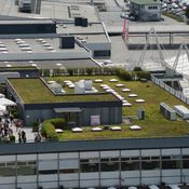 Gründach Salzburg Airport 2016