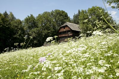 Exkursion ins Kärntner Freilichtmuseum Maria Saal