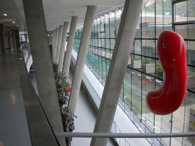 Häuser schaun 30.04.2011: LKH Graz-West, Architektur Consult, Rupert Gruber