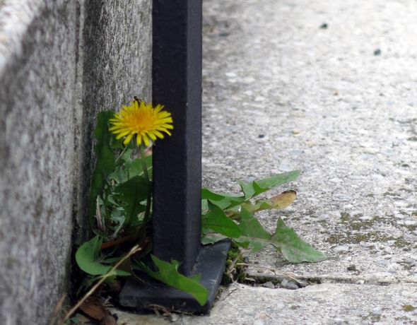 ORTE escape tour stpoelten