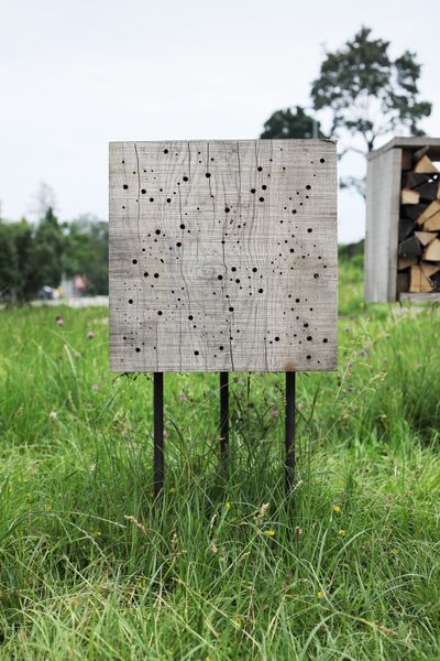 Insect City, Ivan Juarez (AIR 2018/2020)