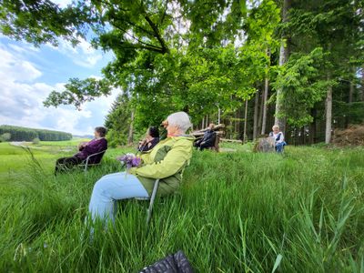 Gemeinsames Waldbaden ist eine beliebte Aktivität der Senior*innen. Die Mobilität älterer Menschen spielt dabei eine zentrale Rolle im Angebot des Alpakahofs Pointner. Senori*innen sollten selbstständig zum Hof kommen können - hier braucht es eine Lösung.