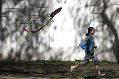 Shibor - Papierdrachenbauen