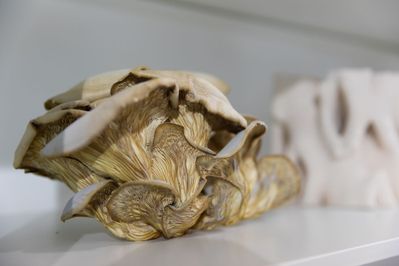 Ausstellungsansichten "Fortschritt zu Wohnbau"