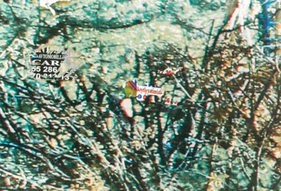 "We Apologize for the Temporary Inconvenience", 2018