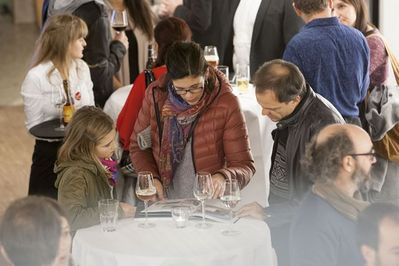 Holzbau in Kärnten III