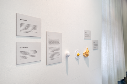 Ausstellung Zukunftsland