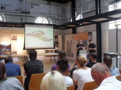 (orte) zwischen global und lokal‏