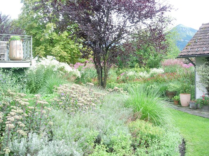 Der Garten des Peter Haas