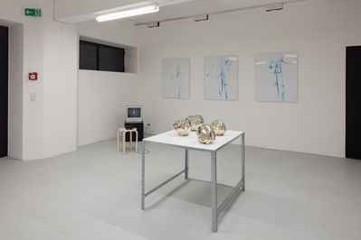 Blick in die Ausstellung "Form Follows Nature"