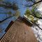 Baumhaus Lodge Schrems