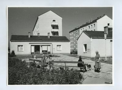 In den 1950er Jahren entwickelte die Stadt Wien eine neue Wohnform für ältere Menschen. Sie baute Bungalow-Siedlungen auf die Grünflächen von über dreißig Gemeindebauten und nannte sie „Heimstätten für alte Leute“.  Die „Alte-Leute-Siedlungen“ sollten eine Lösung der Probleme der überalterten Nachkriegs-Gesellschaft sein. Heute stellen uns die demographischen Entwicklungen vor ähnliche Herausforderungen wie in der Nachkriegszeit. Im alten Konzept der „Heimstätten“ – mit ihrer Idee der Einbettung älterer Menschen in ein bestehendes soziales Gefüge – könnten die Lösungen der Zukunft liegen.