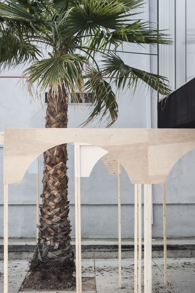 Artifacts of a Parallel Ecology*