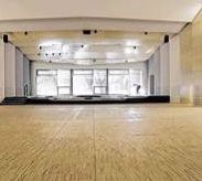 Kleine Zeitung_01.02.2011