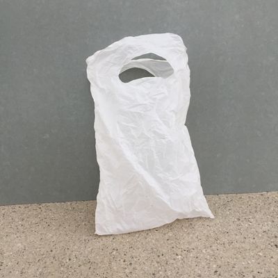 Nikolaus Schletterer, Mein Nylonsackerl