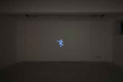 Blick in die Ausstellung "Rens Veltman: Infra und Ultra oder Colonise the Dark"