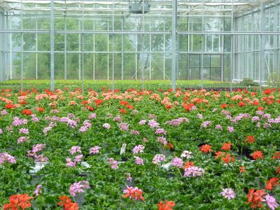 Stadtgartenamt Klagenfurt