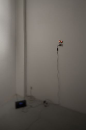 Blick in die Ausstellung "Rens Veltman: Infra und Ultra oder Colonise the Dark"