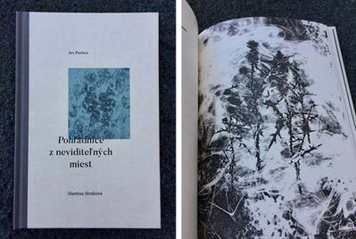 Book Design, Illustration, Layout, 2017